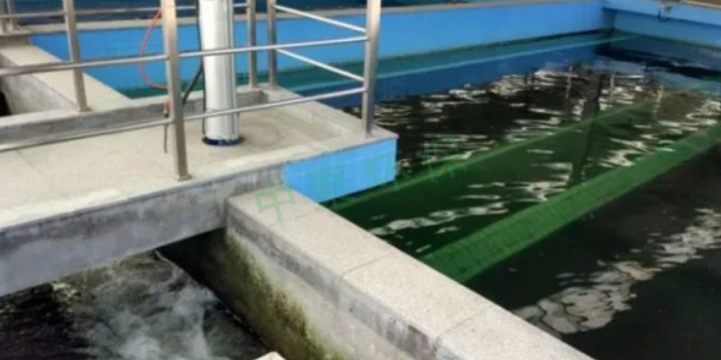 綠蜻蜓水廠-中聚環保